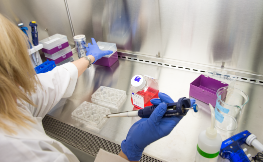 Neuroscience student working in a lab